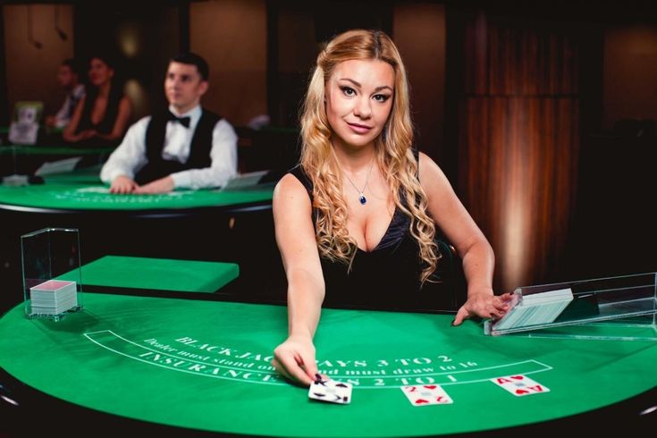 Rumi Slots APK Live Casino